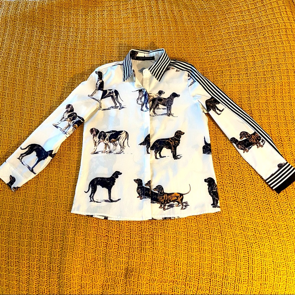 Fun Dog Shirt!